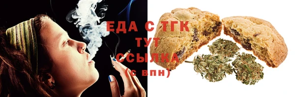 спайс Галич
