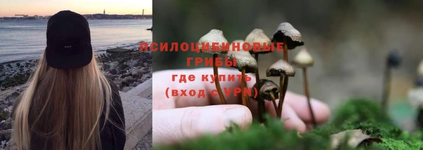 круглые Новокубанск