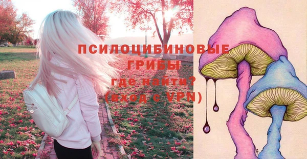 мдпв Осинники