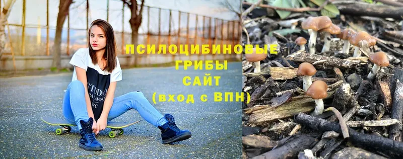 Псилоцибиновые грибы ЛСД  Спасск-Рязанский 